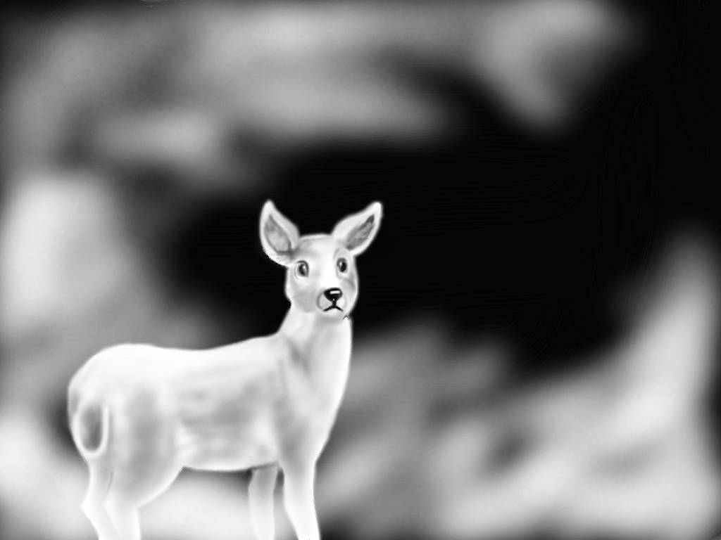 Pourquoi Le Patronus De Rogue Est Une Biche Patronus